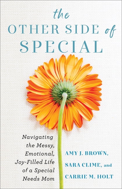 The Other Side of Special  Navigating the Messy, Emotional, ... - 9780800742119