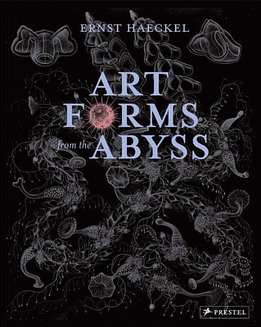 Art Forms from the Abyss by Peter J. le B. Williams, Dylan W.... - 9783791381411 - Image 3