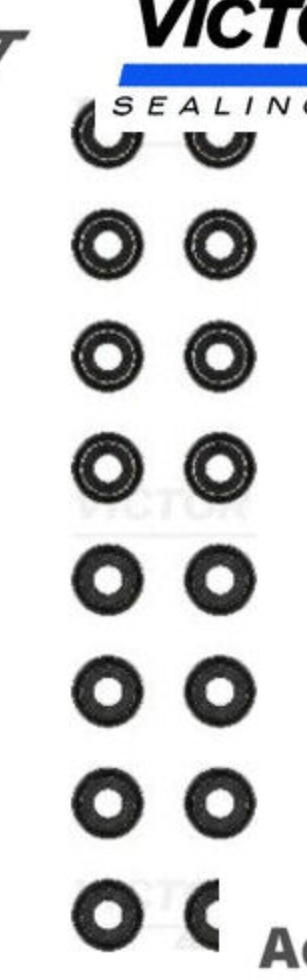 VICTOR REINZ 12-53547-01 Seal Set, valve stem for HONDA