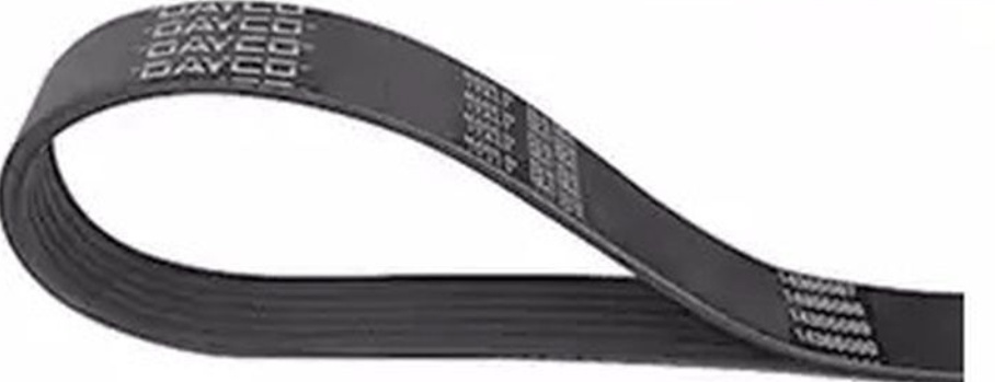 DAYCO 5PK2030 V-Ribbed Belt for LAND ROVER,MG,ROVER