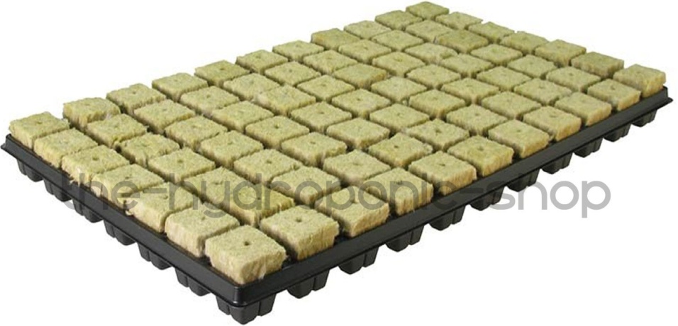 Grodan 36mm SBS Rockwool Propagation Cubes Tray Of 77