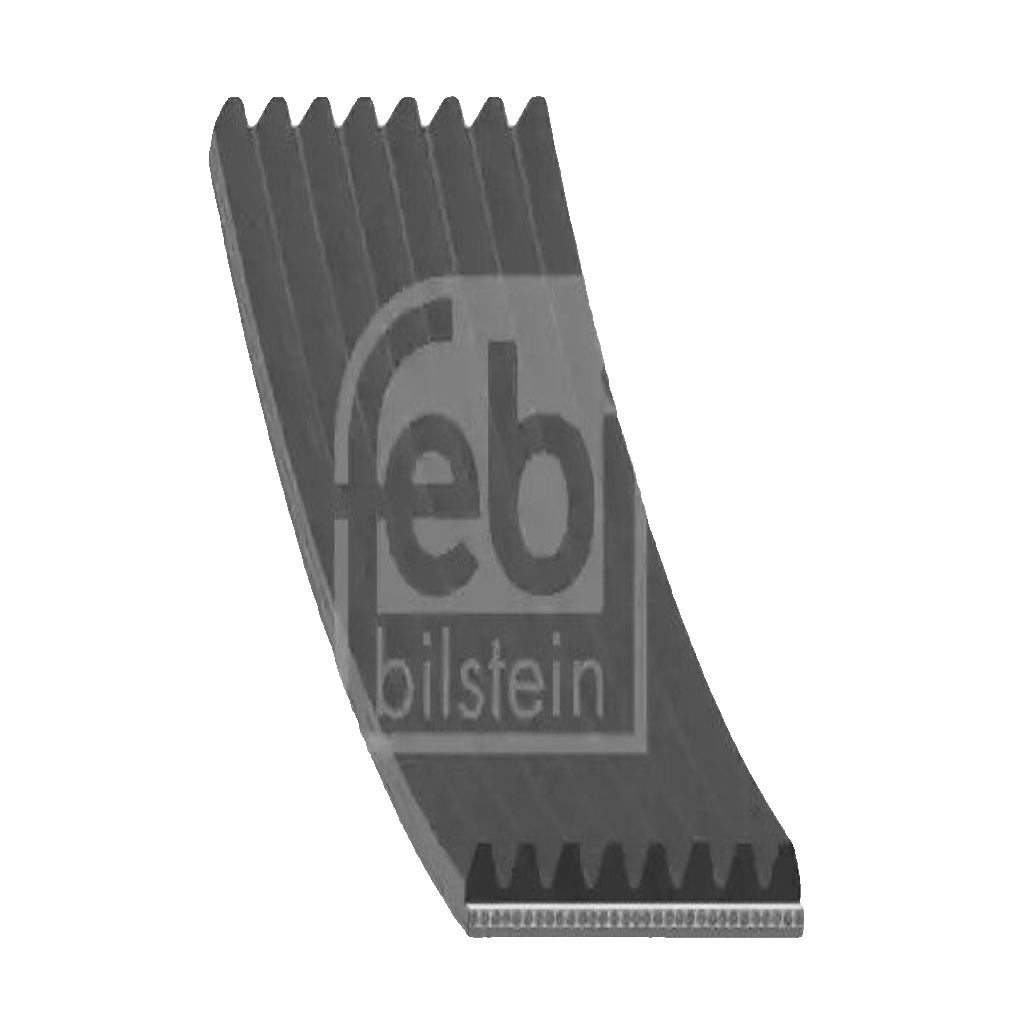 FEBI BILSTEIN 29056 V-Ribbed Belt 1255mm Length 8 Ribs Belt Drive For MAN SCANIA