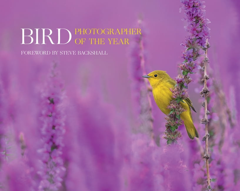 Bird Photographer of the Year: Collection 7 (Hardcover) - Image 9
