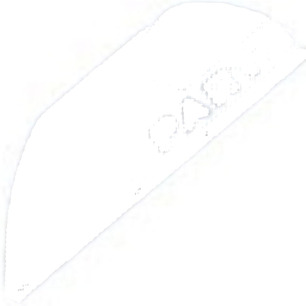 Front Right NTY ZZP-KA-003 Steering Knuckle, wheel suspension for KIA
