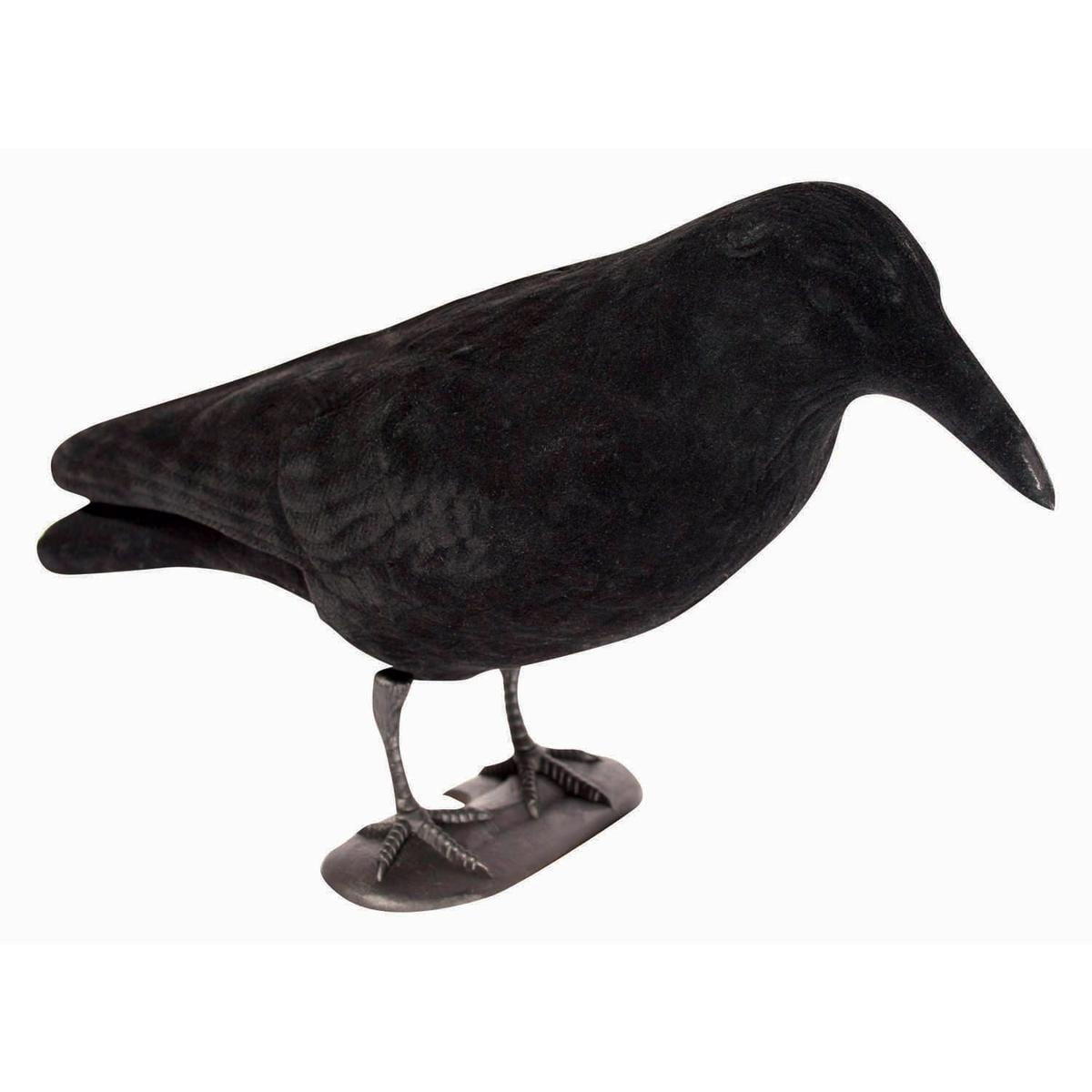 East Anglian - Flocked Crow Decoy