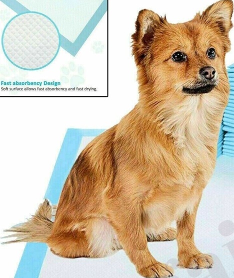 LARGE PUPPY TRAINING PADS PET WEE PEE TOILET PADS PAD FLOOR MATS CAT DOG