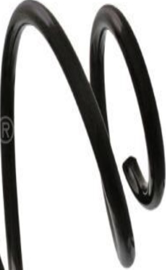 FEBI 46956 SUSPENSION SPRING Front