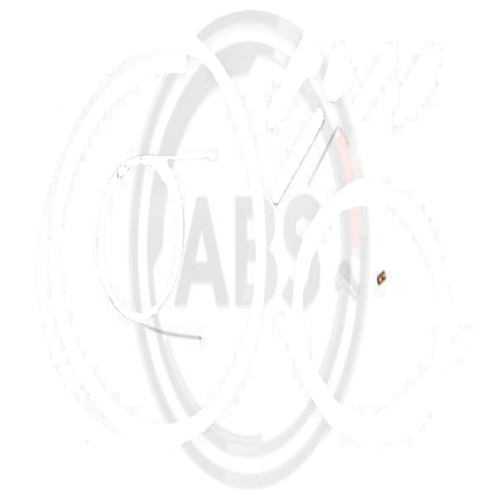Original A.B.S. Throttle Cable K34020 for Citroën