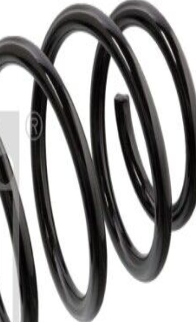 FEBI BILSTEIN 104735 Suspension Spring Front Fits Seat Cordoba Ibiza Inca VW