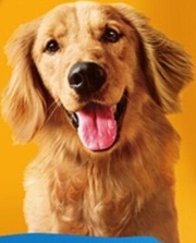 70 Pedigree Rodeo Duos Dog Treats Beef & Cheese Dog Chews (10x123g)