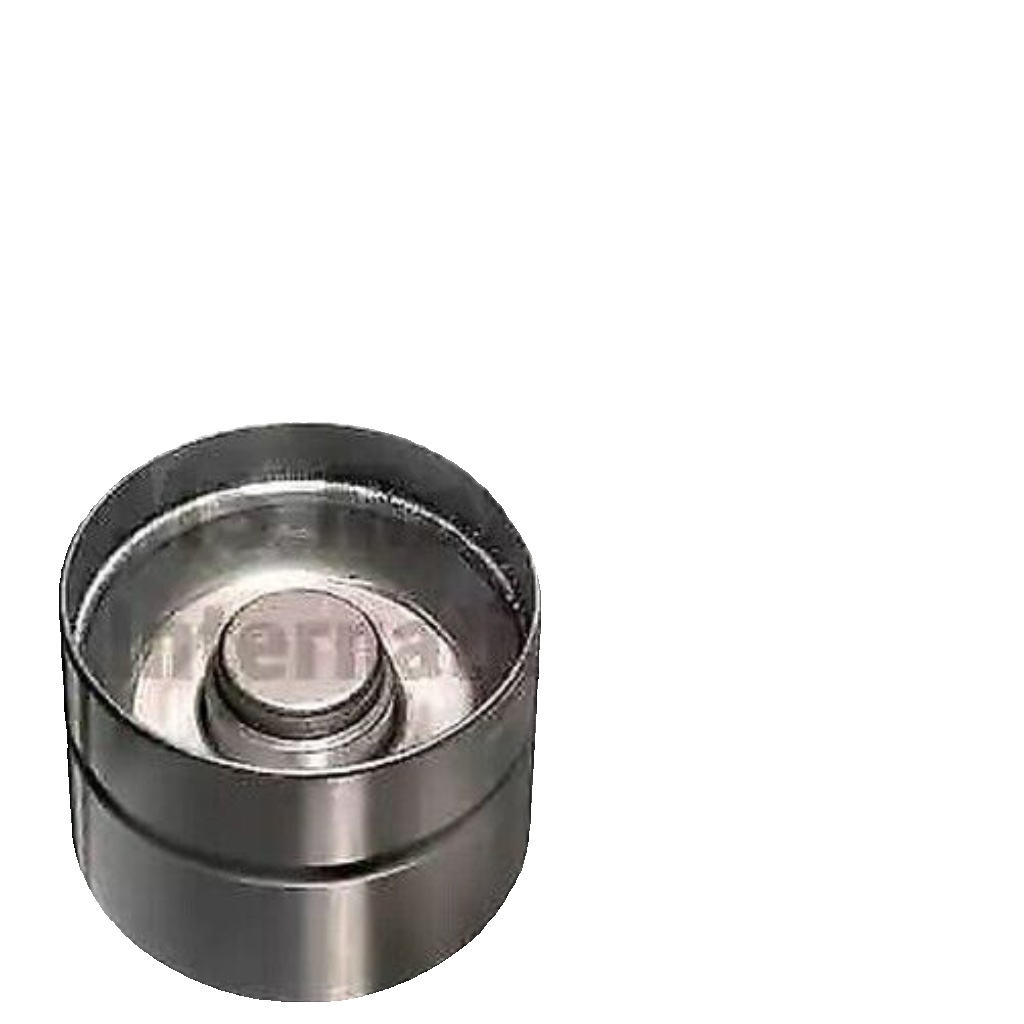 Kolbenschmidt Hydraulic Tappet VW Audi Seat 1,9 2,0 050109309A 050109309