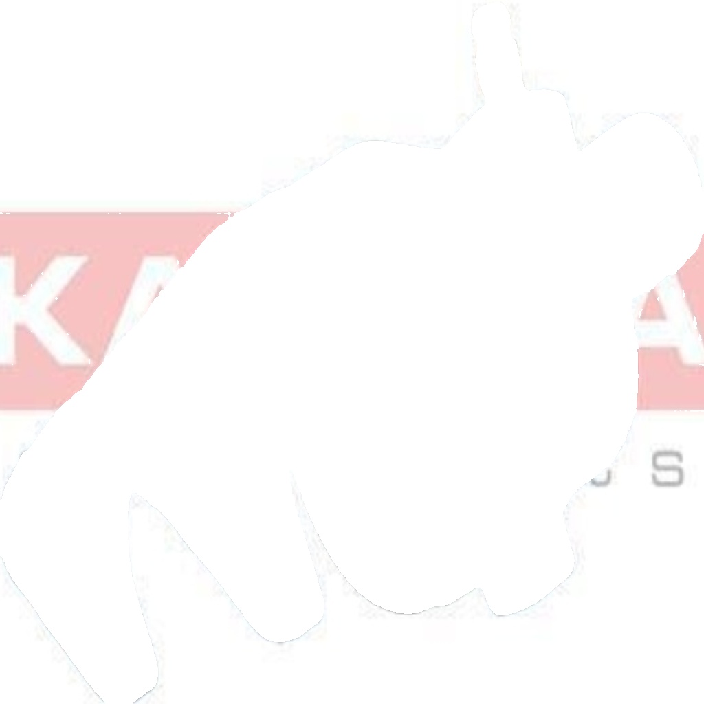 Brake caliper Rear Axle Left Brake Caliper (1 piston) JBC0521 KAMOKA for TOYOTA