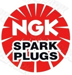 7310 NGK Spark Plug for GLAS,PORSCHE,VW