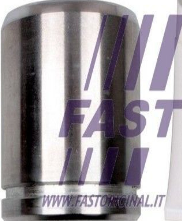 Front FAST FT32288 Piston, brake caliper for IVECO,MERCEDES-BENZ