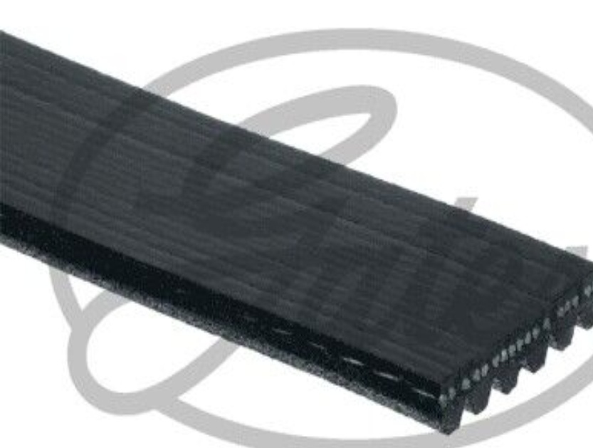 Gates Micro-V Multi-Ribbed Belt - 6PK825