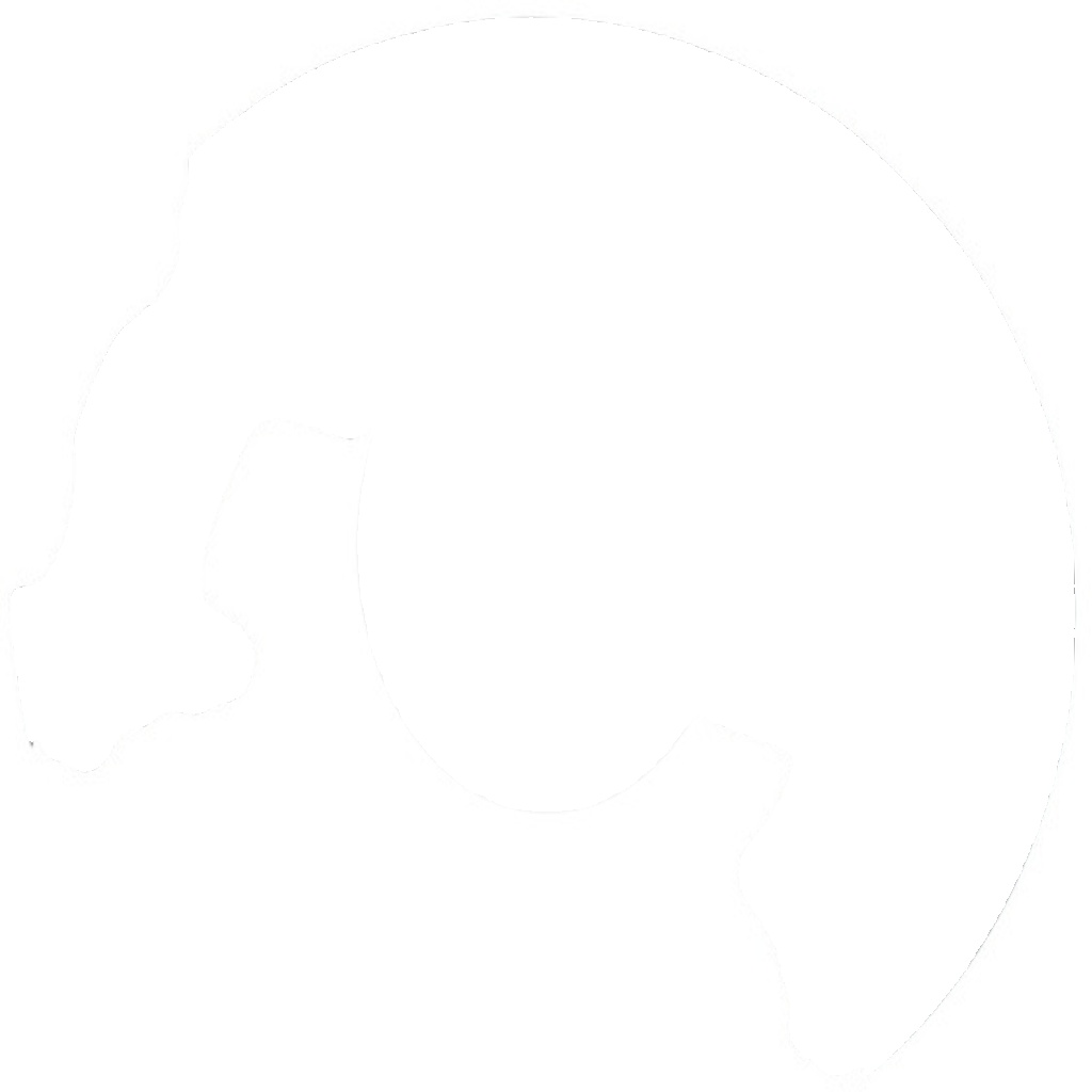 11307 A.B.S. Splash Panel, brake disc for FORD,FORD ASIA & OCEANIA