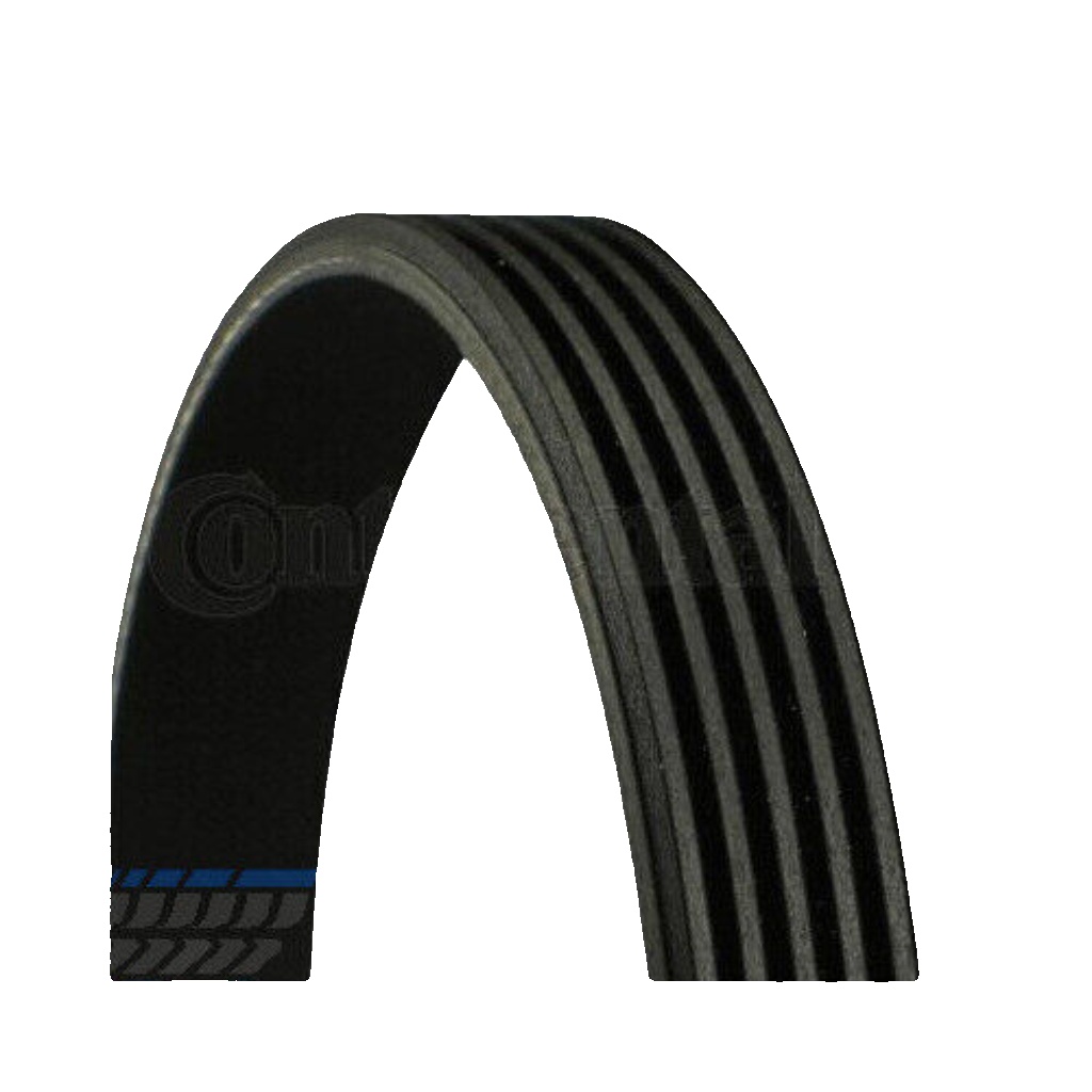 Original CONTINENTAL CTAM V-Ribbed Belt 5PK1190 for Citroën Fiat Land Rover