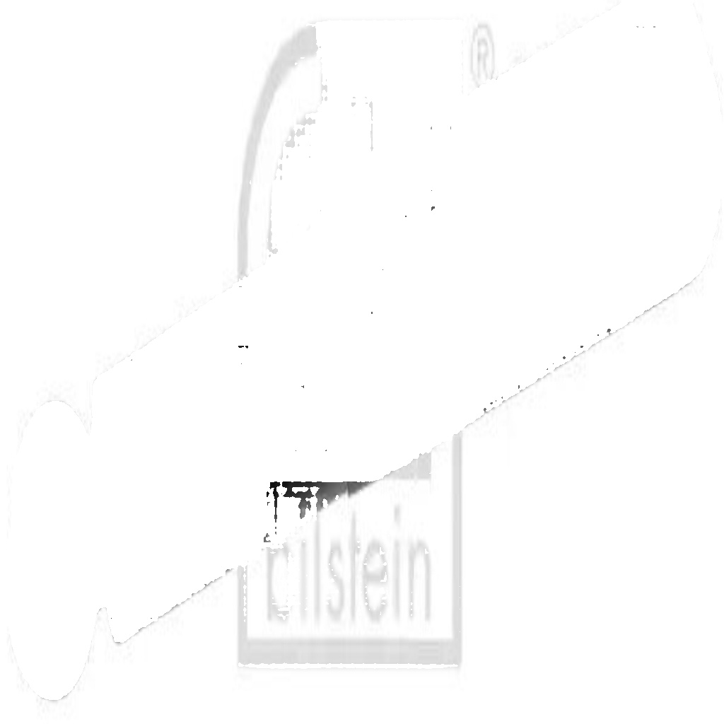 FEBI BILSTEIN SHOCK ABSORBER REAR