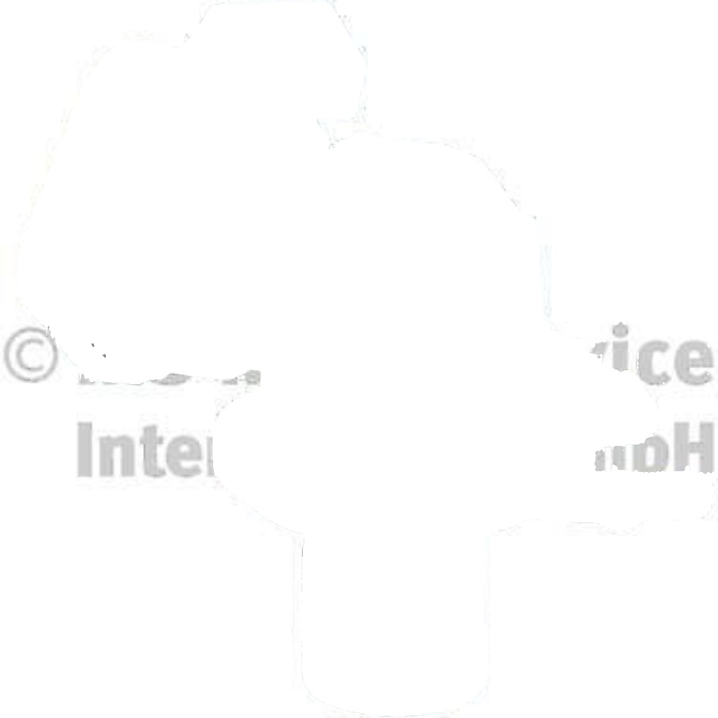PIERBURG-OE 7.24809.33.0 EGR Valve for MERCEDES-BENZ