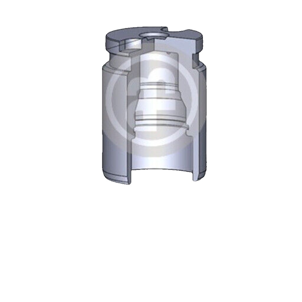Rear AUTOFREN SEINSA D025417 Piston, brake caliper for CHEVROLET,FORD,OPEL,PEUGE