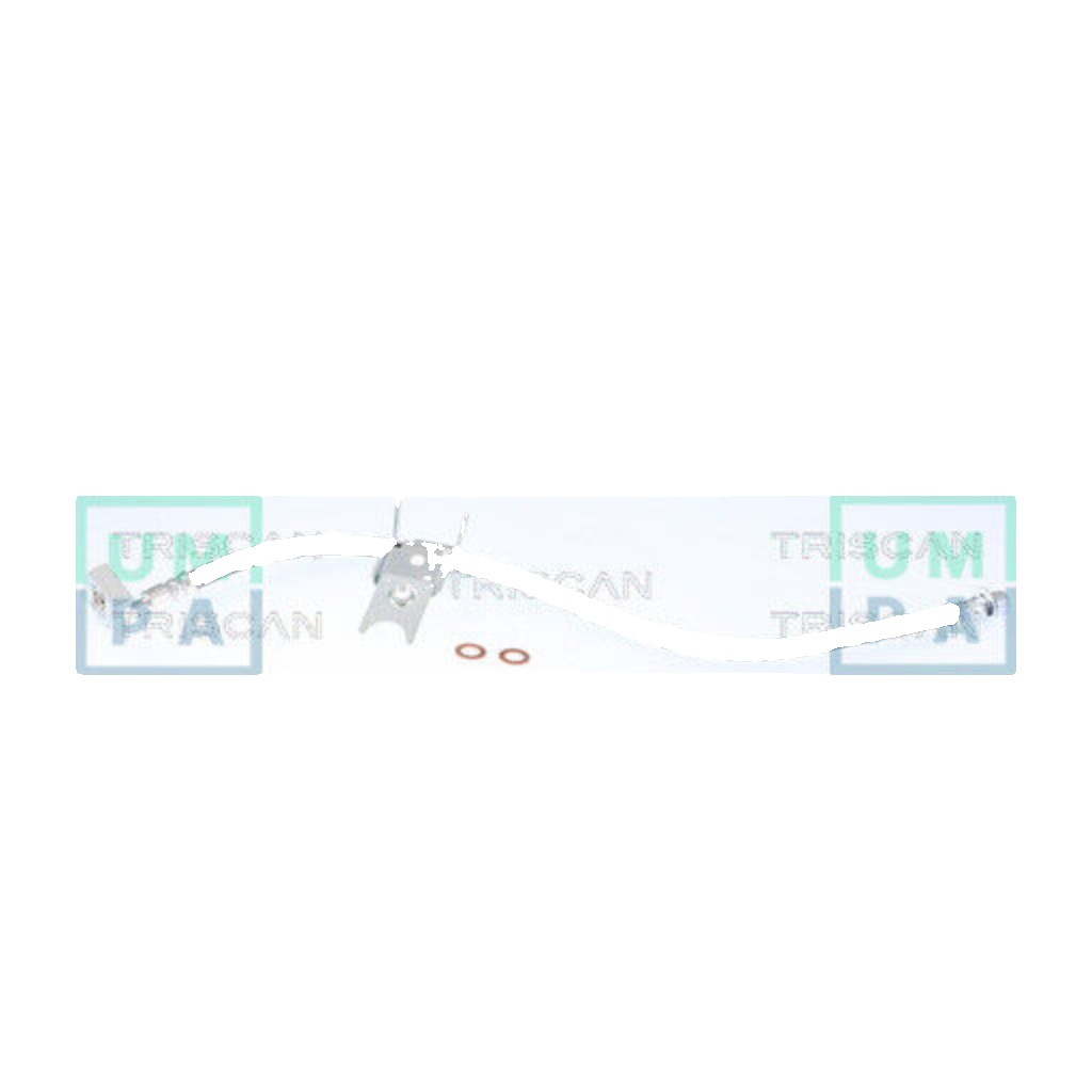 Flexible brake hose 8150 80307 TRISCAN for CHRYSLER 300C 300C Touring