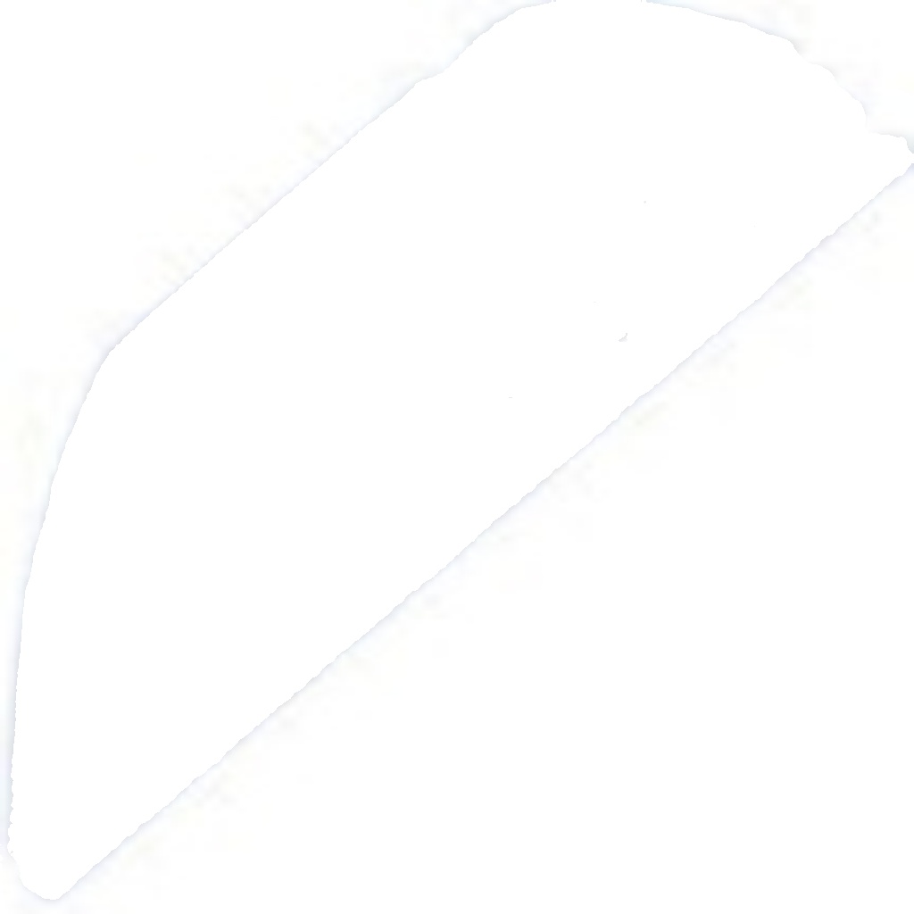 Door Limiter Right Front EZC-PL-020 NTY for OPEL VECTRA C VECTRA C GTS - Image 3