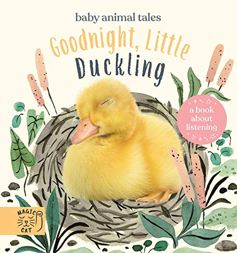 Goodnight, Little Duckling