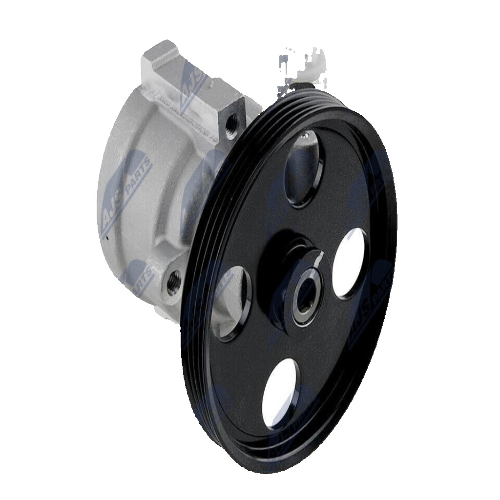 N.T.Y. SPW-RE-013.NTY Hydraulic Pump, steering system for DACIA,RENAULT