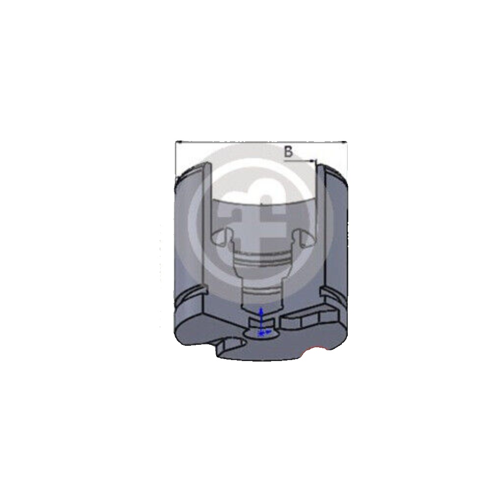Front AUTOFREN SEINSA D025256 Piston, brake caliper for CITROËN