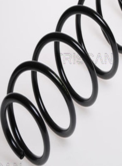 Fits LESJOFORS 4295061 COIL SPRINGS
