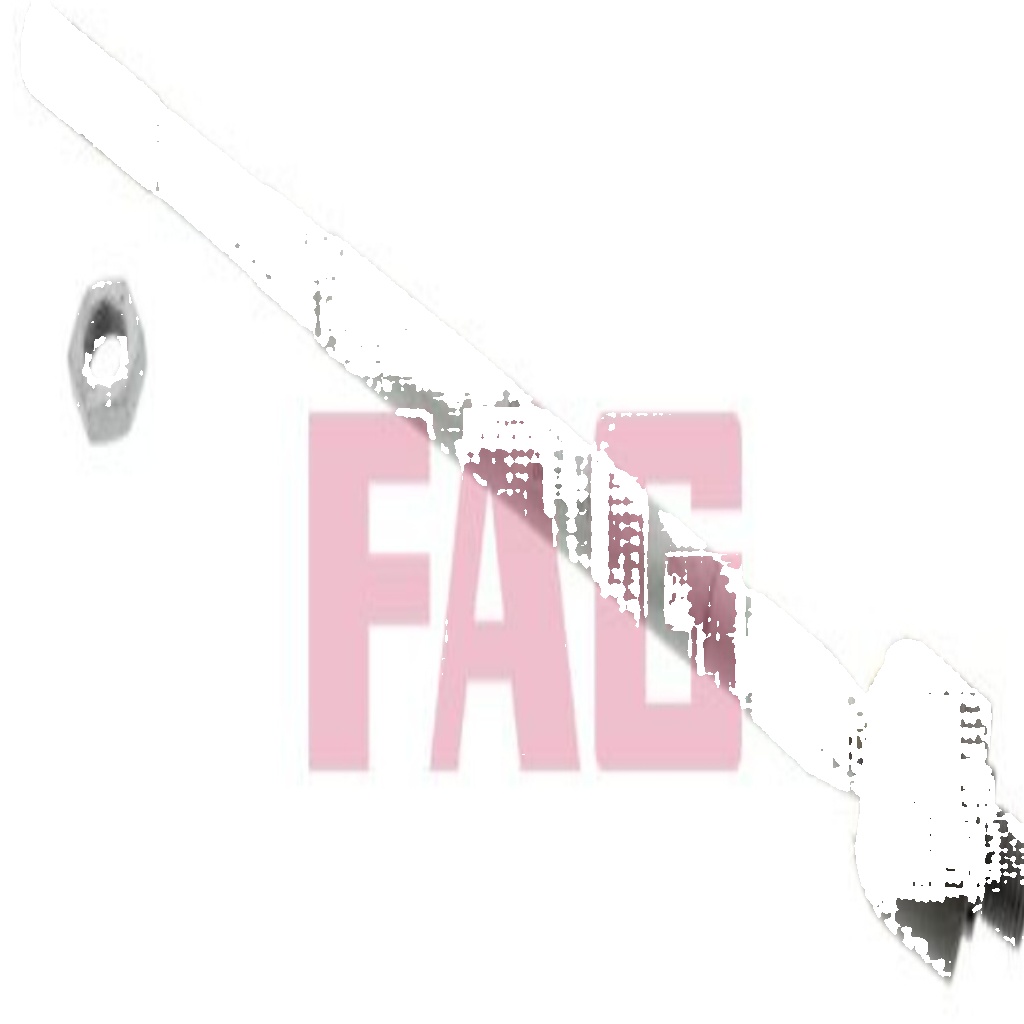 840 0223 10 FAG Inner Tie Rod for FIAT