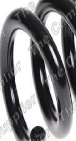 Fits LESJOFORS 4256879 COIL SPRINGS - Image 9