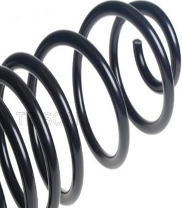 Suspension Coil Spring Rear Fits Citroen Dispatch Peugeot Expert ROC CS9225