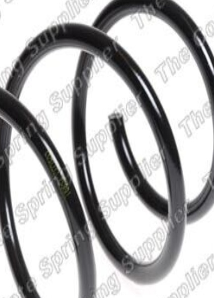 Front LESJÖFORS 4026205 Suspension Spring for FIAT