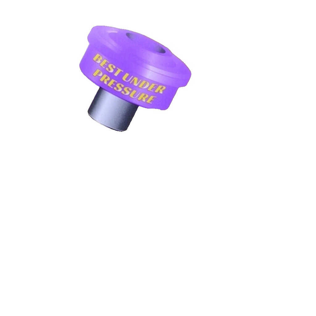 Powerflex Low Eng Mnt Small Bush Round Bracket for Fiesta Mk7 08-12 PFF19-1520