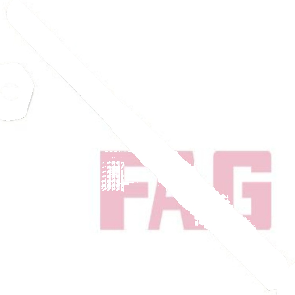 Steering rod 840 1227 10 FAG for VW SKODA SEAT CUPRA