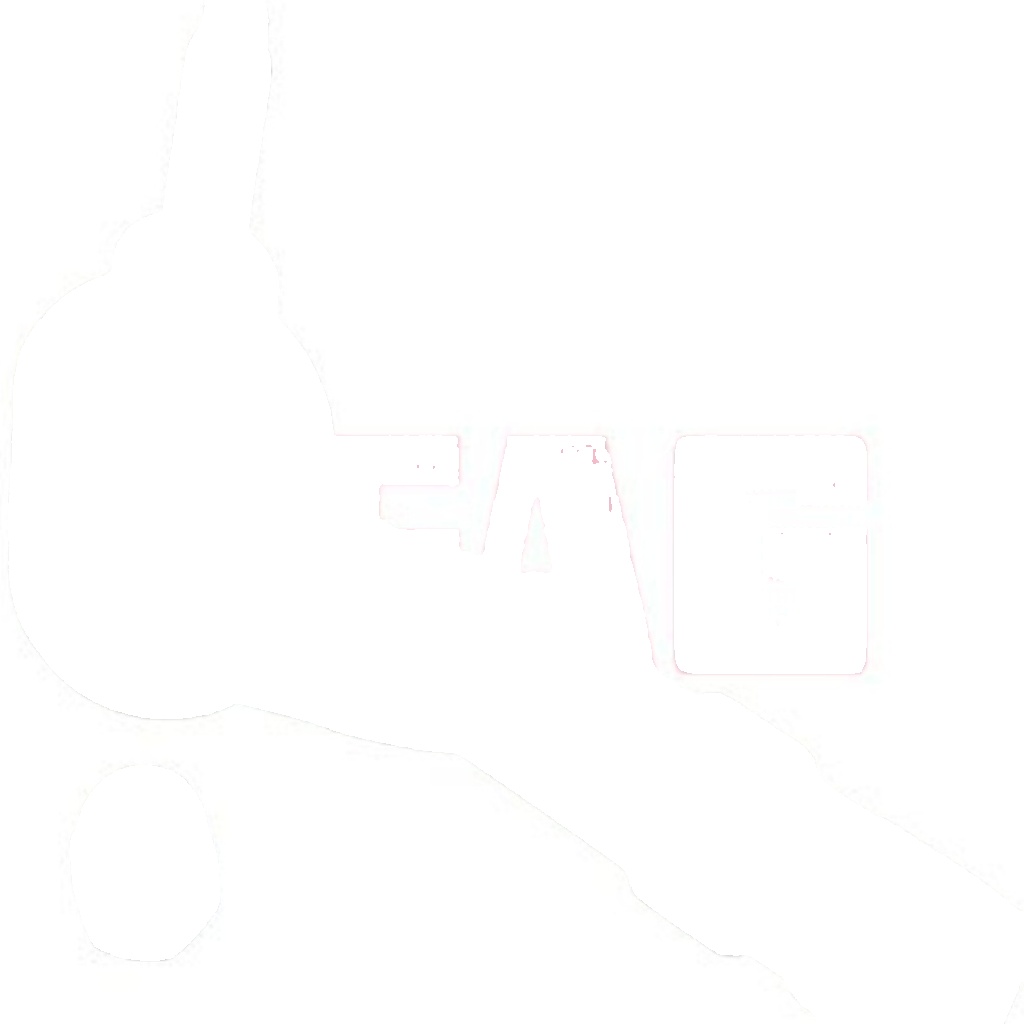 840 0860 10 FAG Tie Rod End for RENAULT