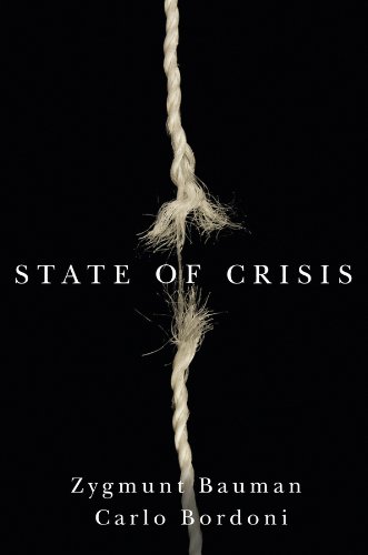 State of Crisis by Zygmunt Bauman, Carlo Bordoni - 9780745680958 - Image 4