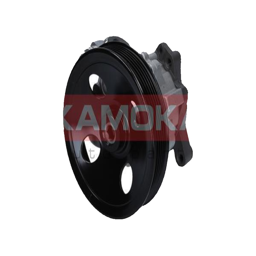 Fits KAMOKA PP131 HYDRAULIC BOOSTER PUMP   ⭐UK Stock⭐