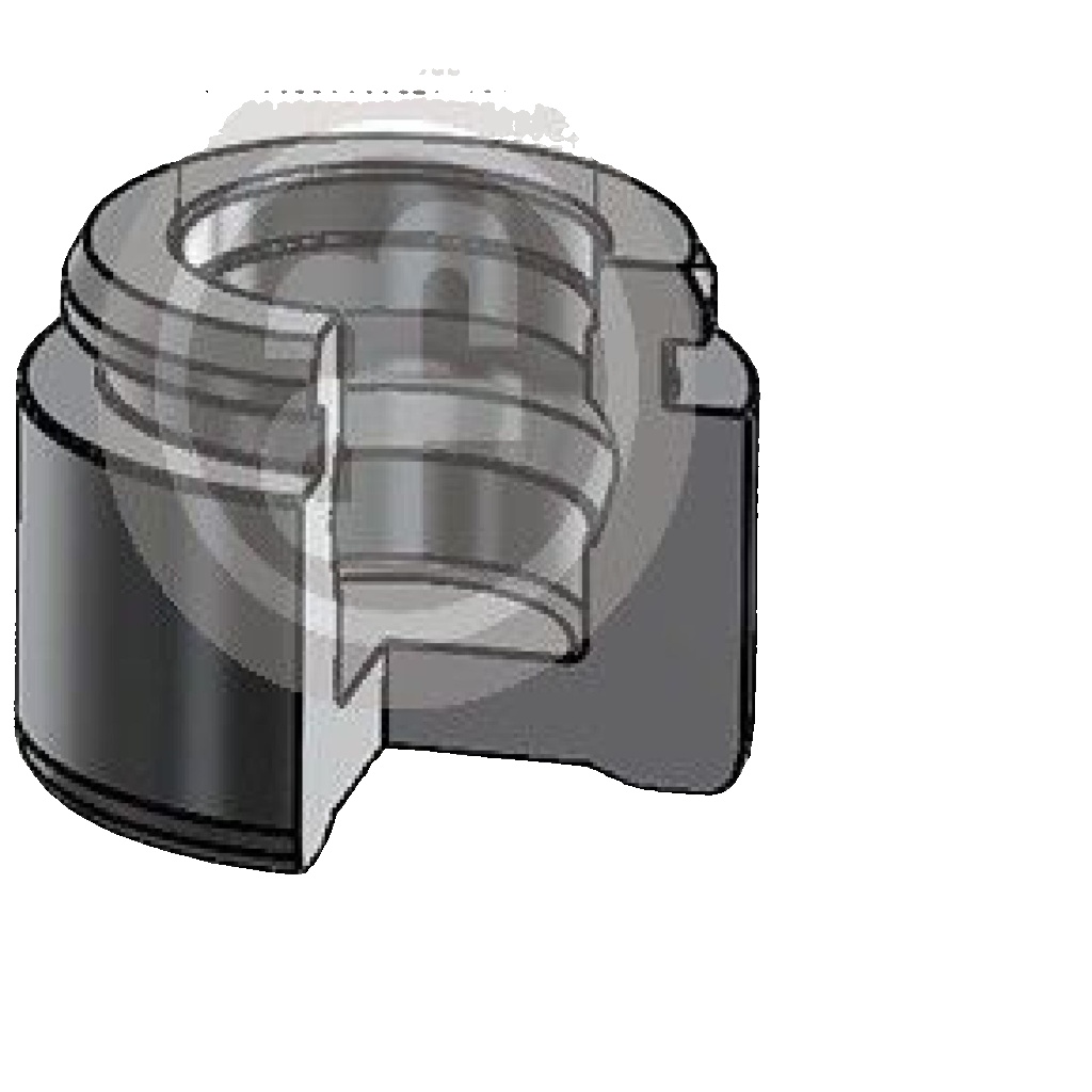 Front AUTOFREN SEINSA D025821 Piston, brake caliper for BMW