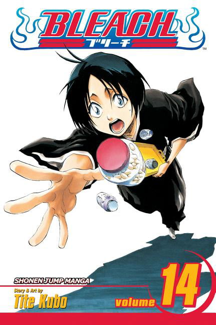 Bleach, Vol. 14 Volume 14
