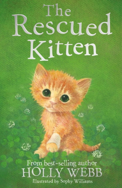 The Rescued Kitten Holly Webb Animal Stories Book 39 Paperback Childrens - Image 5