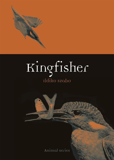 Kingfisher by Ildiko Szabo - 9781789141399