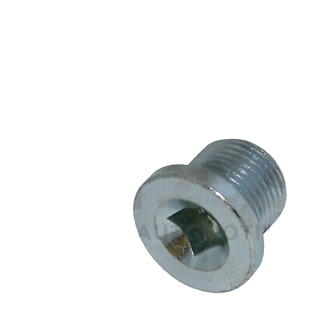 FA1 861.360.001 Sealing Plug, oil sump