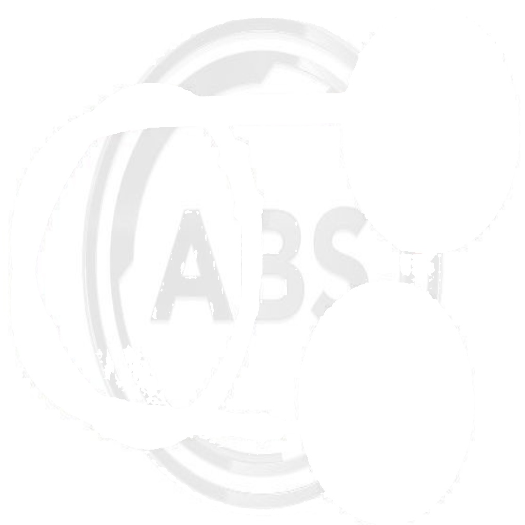 Original A.B.S. Cable Pull Parking Brake K16937 for Ford