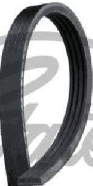 VRIBBED BELT 4PK1022SF FOR FIAT FIORINO/MPV/Box/Body/MPV SIENA ALBEA/PALIO 1.2L - Image 15