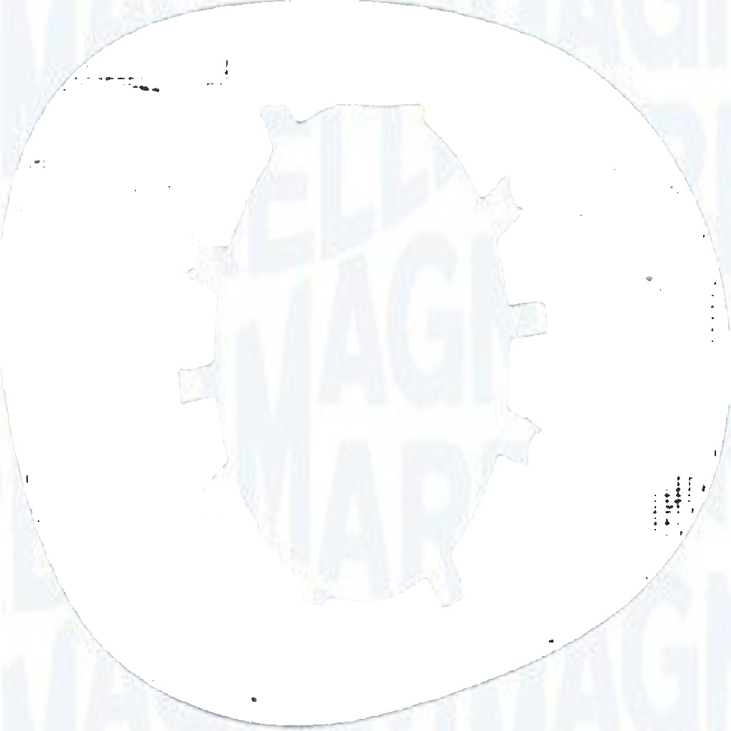 Original Magneti Marelli Mirror Glass Exterior Mirror 351991303030 for Smart