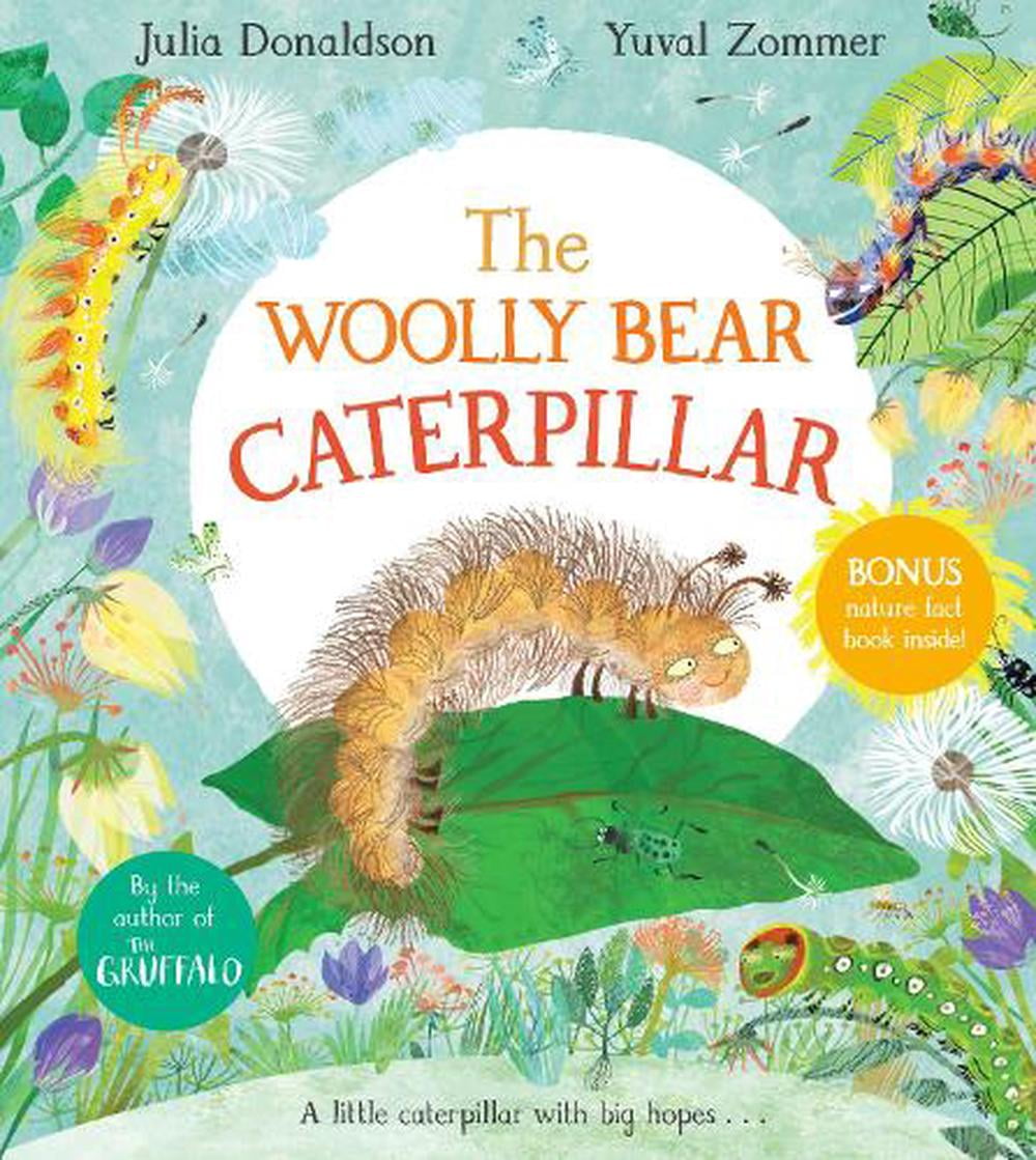 The Woolly Bear Caterpillar by Julia Donaldson, Yuval Zommer - 9781529012200 - Image 8