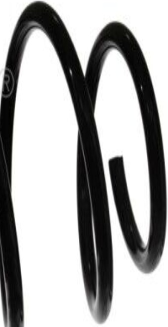 Front FERDINAND BILSTEIN 46814 Coil Spring for FIAT