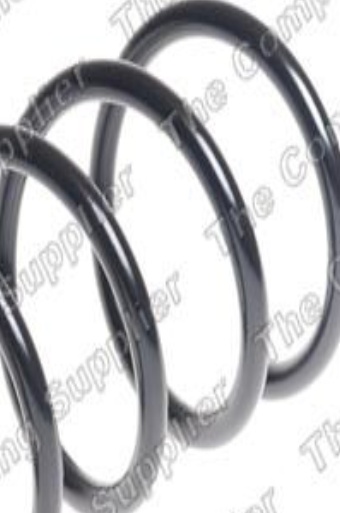 Rear LESJÖFORS 4295094 Suspension Spring for VW